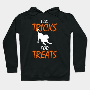 I Do Tricks For Treats Dog Lover Halloween Hoodie